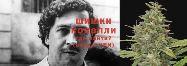 каннабис Нефтекумск