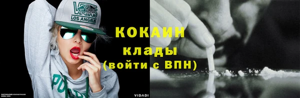 шишки Ахтубинск