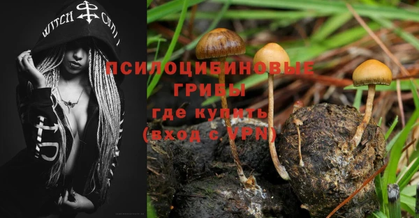 стаф Нея