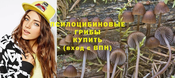 стаф Нея