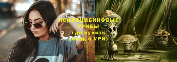 стаф Нея