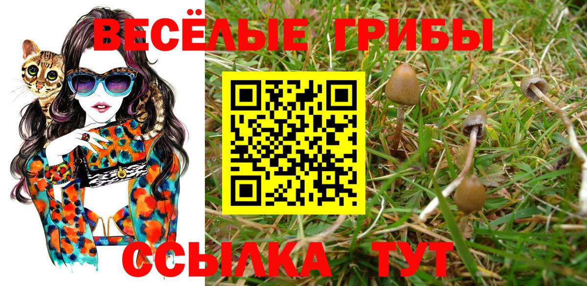 Галлюциногенные грибы MAGIC MUSHROOMS Борзя