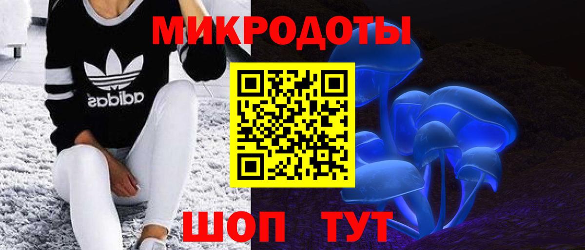 Псилоцибиновые грибы прущие грибы  Борзя 