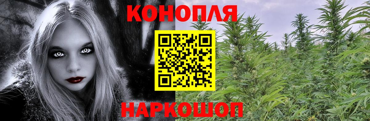 Борзя  Марихуана гибрид  Конопля план  Шишки марихуана White Widow  Вход с VPN  Бошки Шишки Ganja 